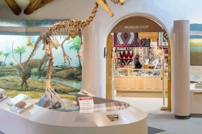 From Phoenix: Private Custom Flagstaff Day Tour - What’s Included and What’s Not