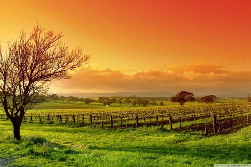 From Phoenix: Vortex to Vineyard Private Tour - Practical Details: Transportation and Accessibility