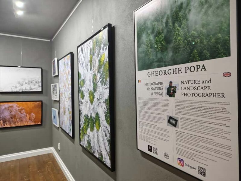 From Piatra Neam: Neam Citadel and Târgu Neam Guided Tour - Visiting Veronica Micle House and Ion Creanga Museum