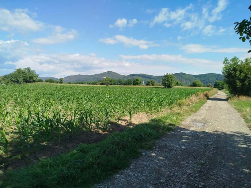 From Piatra Neam: Neam Citadel and Târgu Neam Guided Tour - Scenic Village Views and Cultural Insights