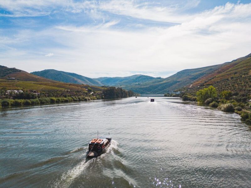 From Pinhão: Douro Valley Rabelo Boat Tour with Audio Guide - Enhancing the Experience with the WebApp Audio Guide