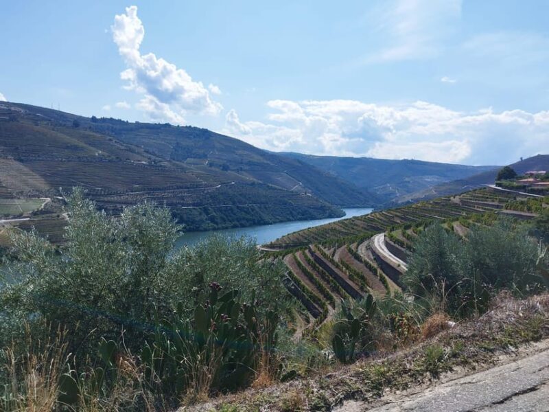 From Pinhão: Douro Valley Tour w/ Wine Tasting and Boat Trip - Expert Guides Share Local Stories and Traditions