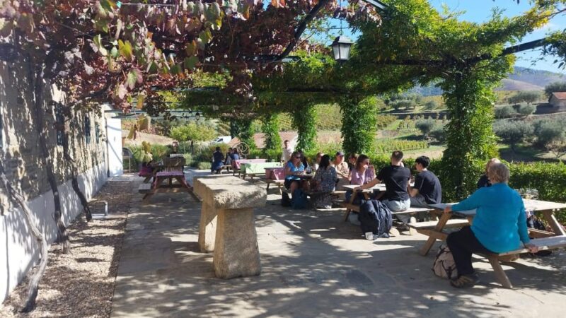 From Pinhão: Douro Valley Tour w/ Wine Tasting and Boat Trip - Flexibility and Accessibility of the Tour