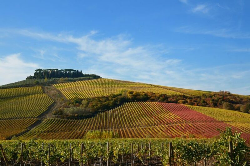From Pisa or Lucca: Half-Day Tuscany Chianti Wine Tasting - The Guides and Hosts