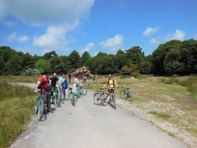 From Pisa to Lucca along Puccini cycling path - Tour Flexibility and Group Options