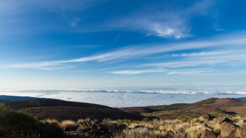 From Playa de las Américas: Full-Day Teide Jeep Safari - Key Points