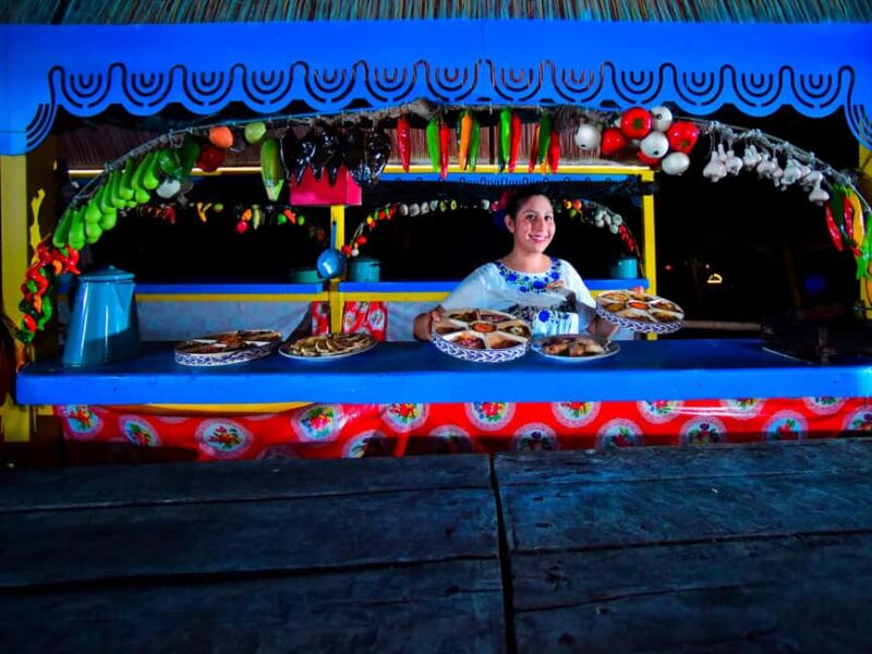 From Playa del Carmen: All-Inclusive Xoximilco Park Admission - Cultural Performances and Regional Dances