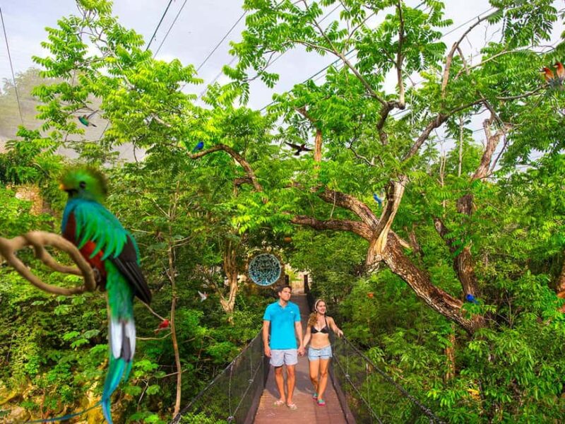 From Playa del Carmen: Xcaret Park All-Inclusive - Comparing Transportation and Entrance-Only Options