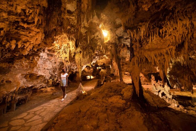 From Playa del Carmen: Xplor Park Admission, Full Day - Safety and Equipment: Helmets, Harnesses, and Lockers