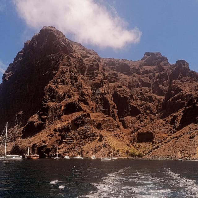 From Playa San Juan: Whale Watching, Gigantes, and Masca Bay - The Experience with Sea Passion Tenerife