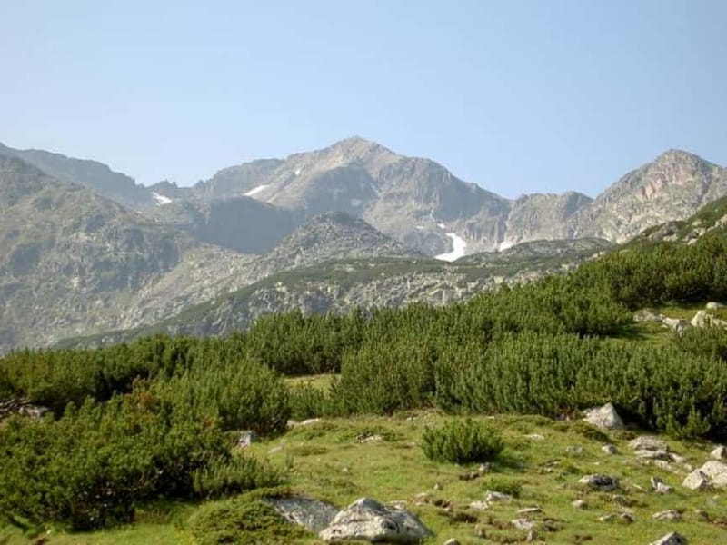 From Plovdiv: Musala Peak Full-Day Trekking Tour - Cost and What’s Included