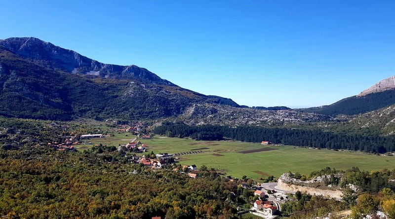 From Podgorica: Kotor & Budva Old Towns Tour and Skadar Lake - Logistics, Value, and Practical Details