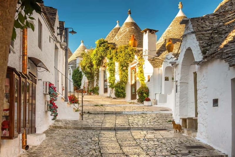 From Polignano a Mare: Alberobello Guided Tour - Inside a Traditional Trullo House
