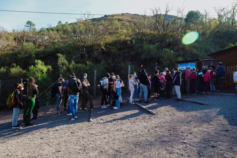 From Pompeii: Mount Vesuvius Guided Tour with Transfer - Views of the Bay of Naples and Surrounding Islands