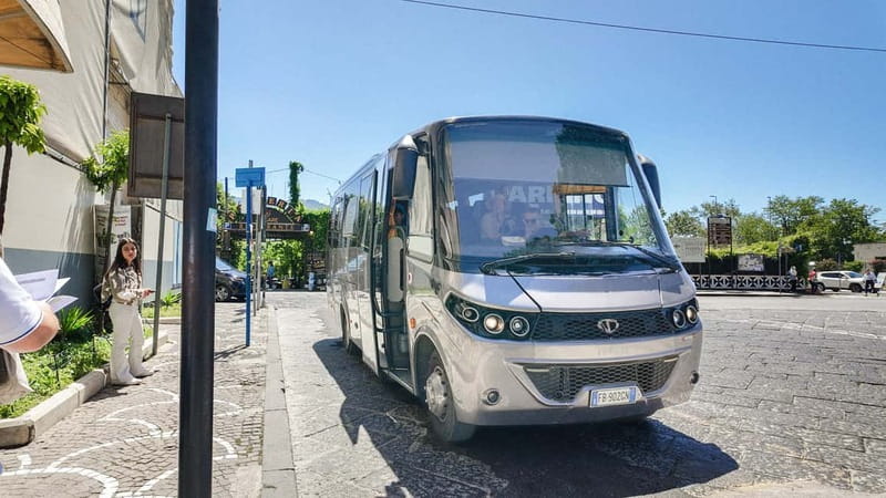 From Pompeii: Mount Vesuvius with bus, ticket and audioguide - Discover Mount Vesuvius Easily from Pompeii