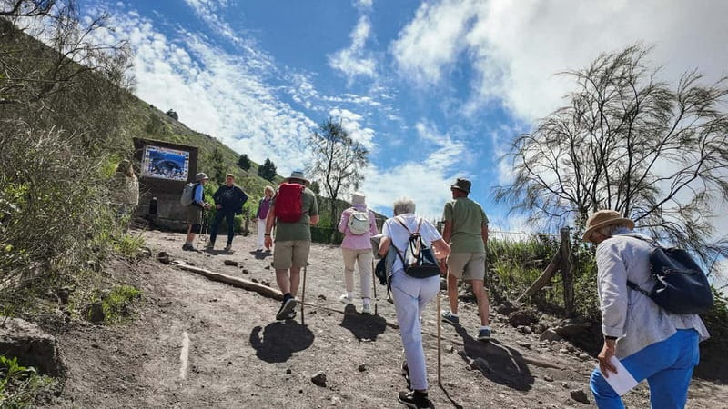 From Pompeii: Mount Vesuvius with bus, ticket and audioguide - Optional Entrance Ticket and Cost Details