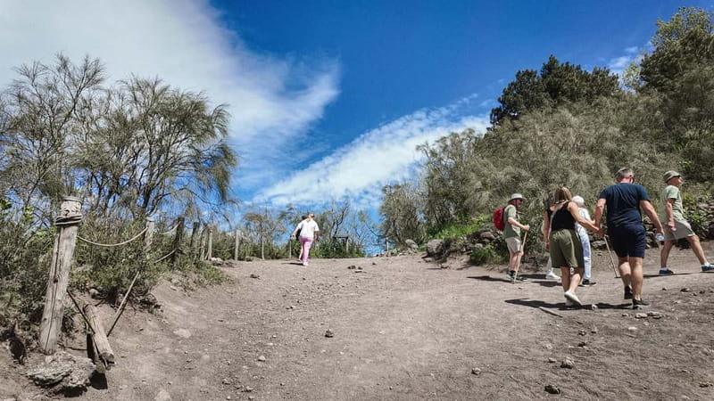 From Pompeii: Mount Vesuvius with bus, ticket and audioguide - What to Expect on the Tour Itinerary