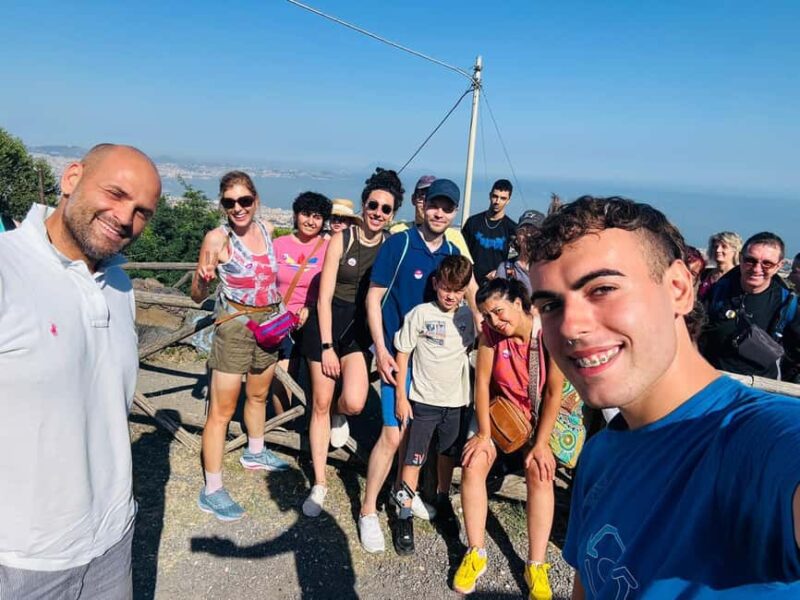 From Pompeii/Naples: Vesuvius Easy Transfer and Entry Ticket - The Itinerary Breakdowns and Stops