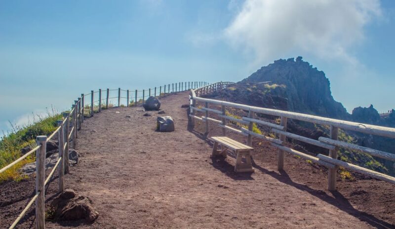 From Pompeii: Vesuvius Entry with Transfer and Audioguide - What Visitors See at the Volcano Crater