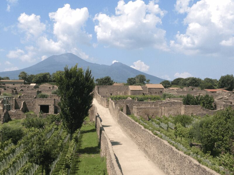 From Pompeii: Walking Tour with Guide in the Excavations - The Value of the Guided Experience in Pompeii