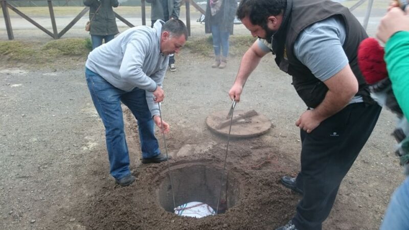 From Ponta Delgada: Furnas Guided Day Trip & 4x4 Adventure - Comparing Similar Tours and Options