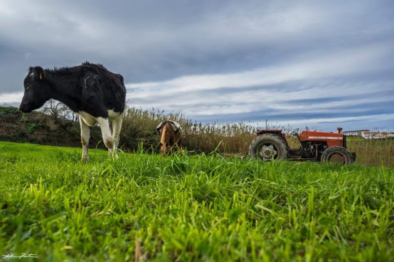 From Ponta Delgada: Hiking Moinho do Félix - What Sets This Tour Apart: A Focus on Heritage and Views