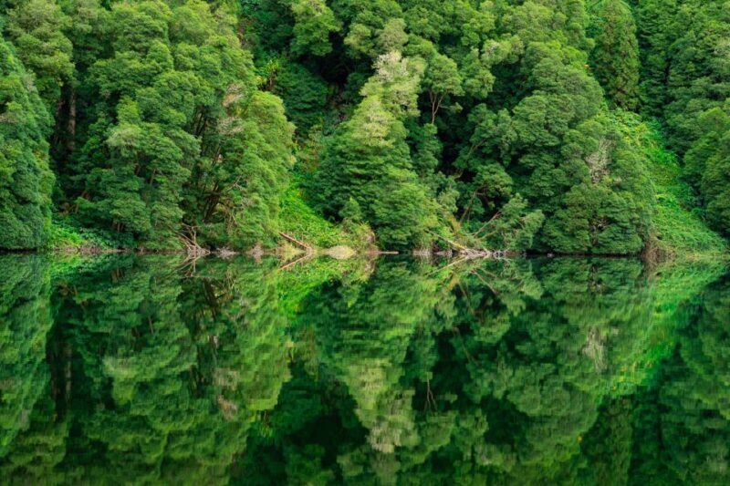 From Ponta Delgada: Sete Cidades Jeep, Bike, & Kayak Ride - Who Will Enjoy This Tour Most?