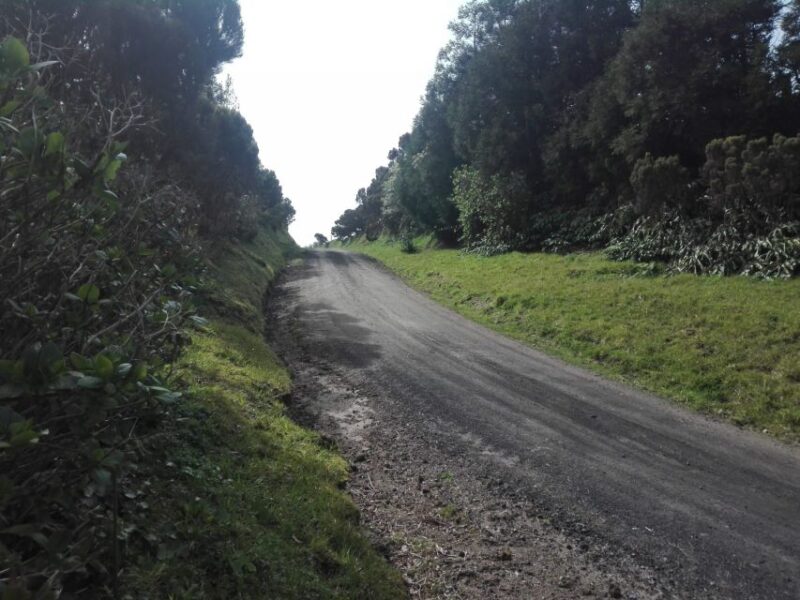 From Ponta Delgada: Vista do Rei to Sete Cidades Guided Trek - Experience the Best of São Miguel on a Guided Trek from Vista do Rei to Sete Cidades