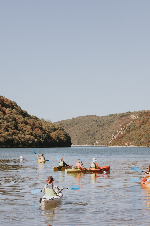 From Pore: Lim Bay Sea Kayaking Day Trip - Key Points