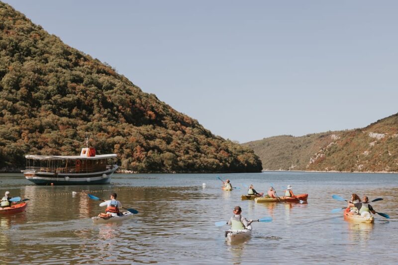 From Pore: Lim Bay Sea Kayaking Day Trip - Who Will Most Enjoy This Tour?