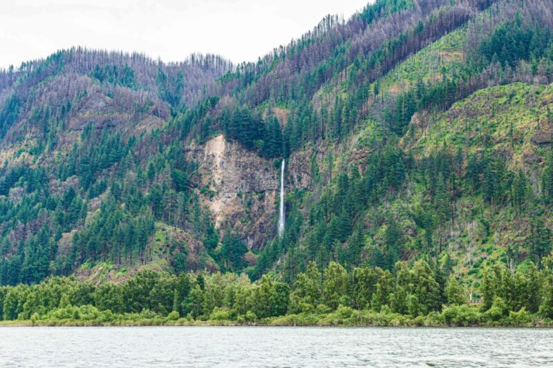 From Portland: 7 Wonders of the Gorge Jetboat Cruise - Safety and Accessibility Considerations