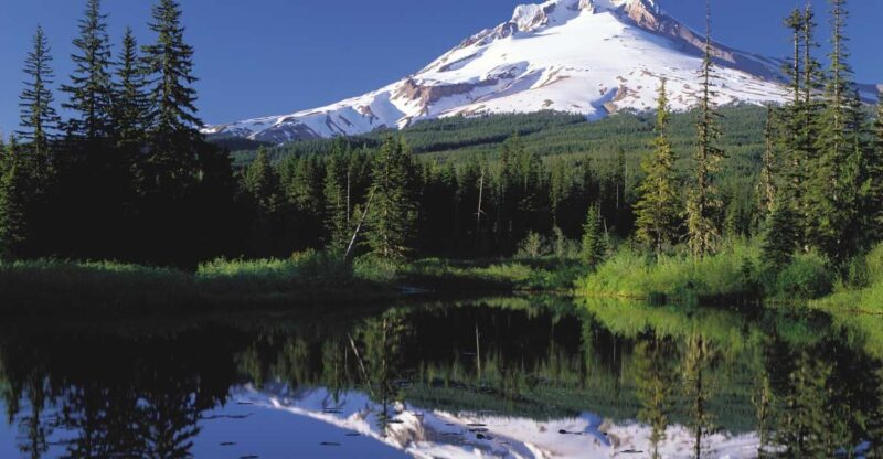 From Portland: Columbia Gorge Waterfalls and Mt. Hood Tour - Experience Oregon’s Natural Wonders on a Small-Group Tour from Portland