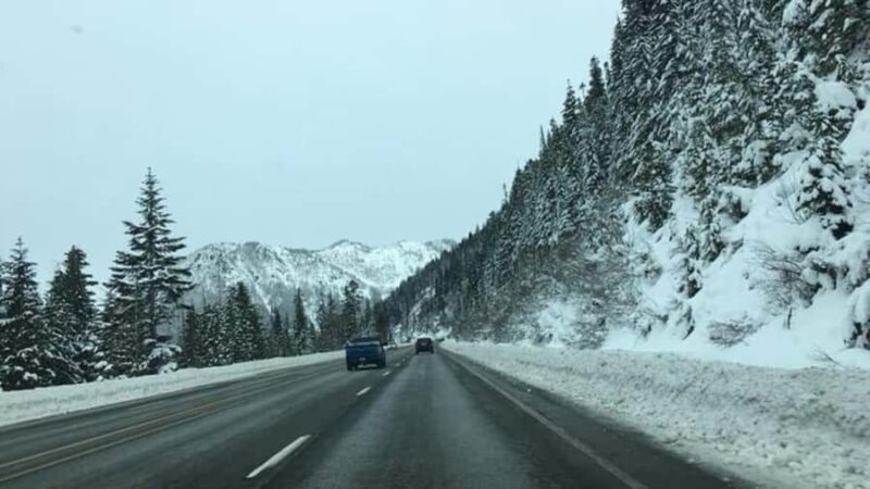 From Portland: Explore Mt Saint Helen in a small group - Mount Saint Helens Small Group Tour: Final Insights