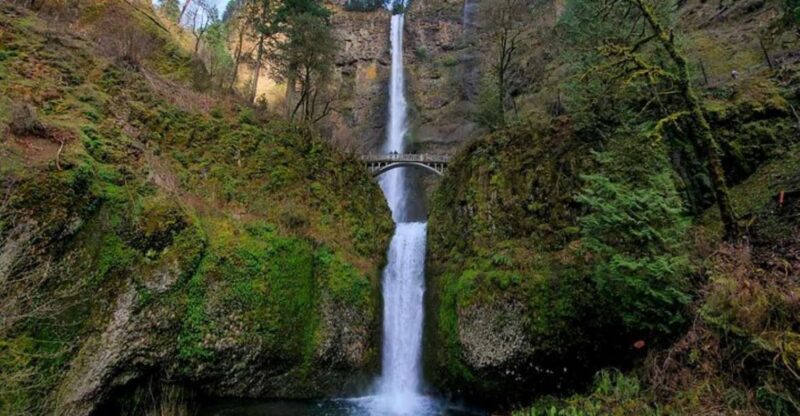 From Portland: Half-Day Columbia River Gorge Waterfalls Tour - Walking Through the Lush Temperate Rainforest