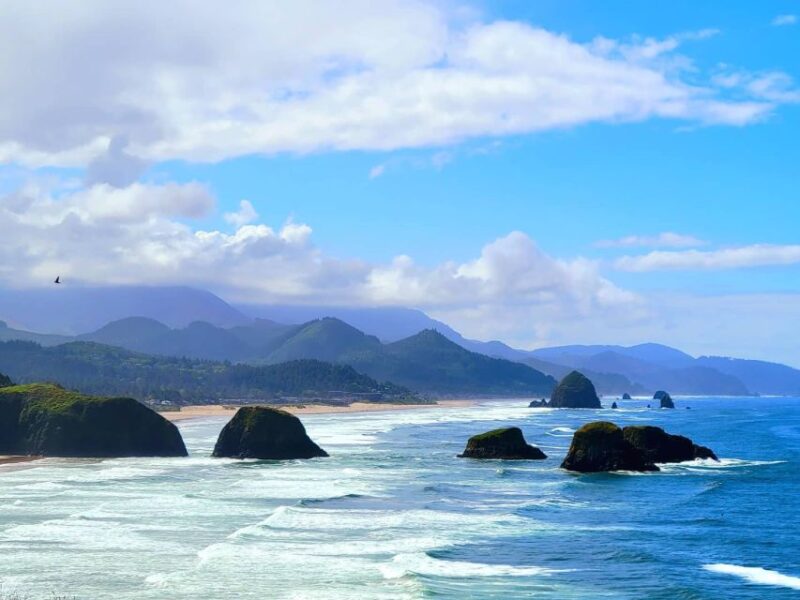 From Portland: Oregon Coast Adventure Day Tour with Pickup - Oregon Coastal Forests and State Parks