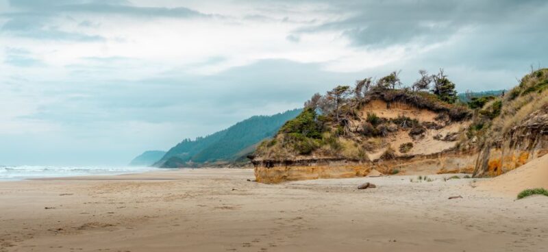 From Portland: Oregon Coast Day Trip Cannon Beach Area - Trekking Through Ancient Forests and Primeval Landscapes