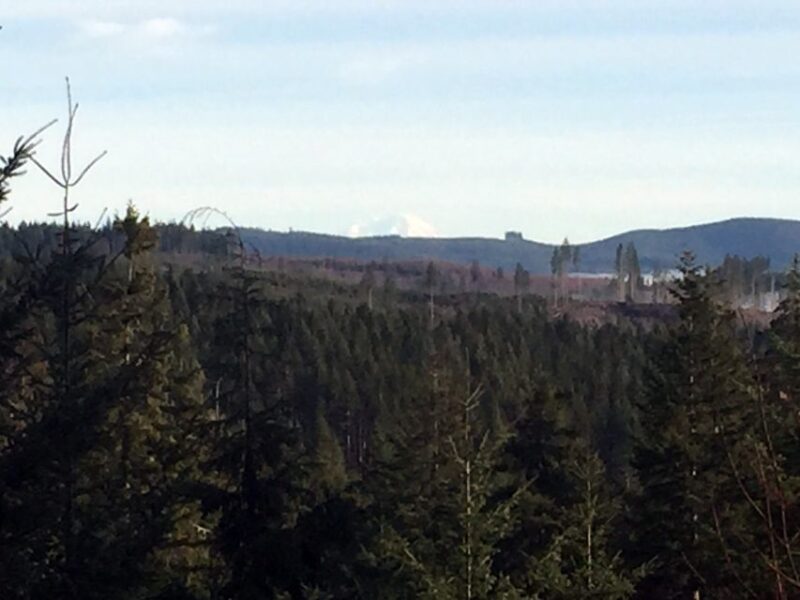 From Portland: Oregon Coast Day Trip Cannon Beach Area - Practical Details: Logistics and Comfort