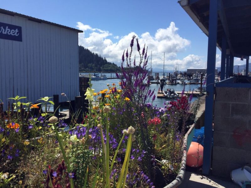 From Portland: Oregon Coast Day Trip Cannon Beach Area - The Guide’s Style and Expertise