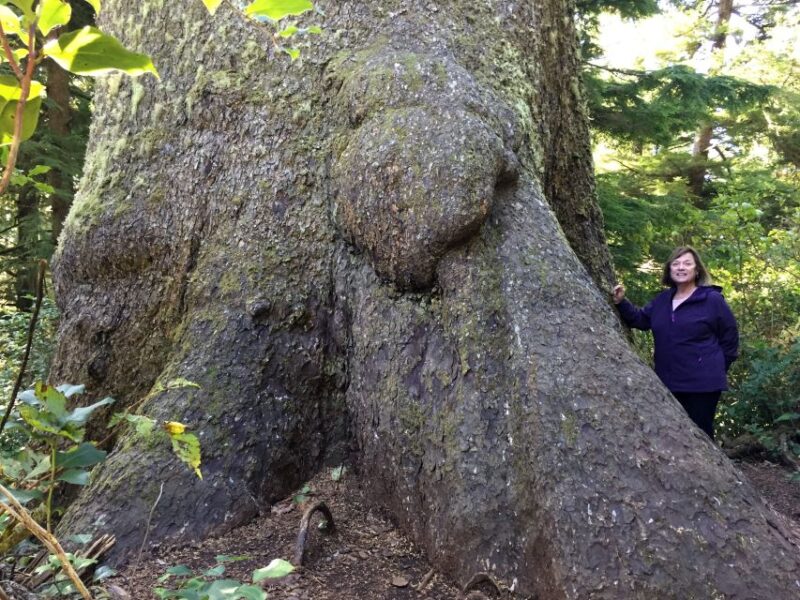 From Portland: Oregon Coast Day Trip to Three Capes Loop - Key Points