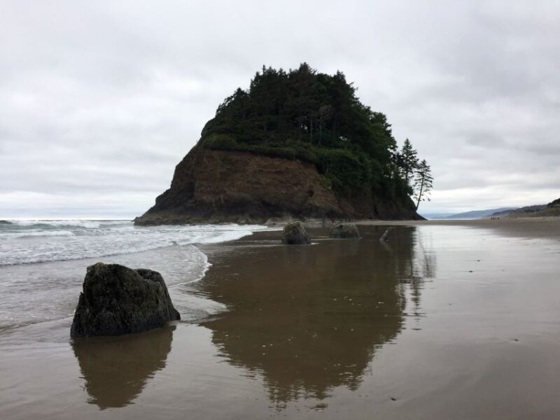 From Portland: Oregon Coast Day Trip to Three Capes Loop - Beaches, relics, and the Ghost Forest Walk