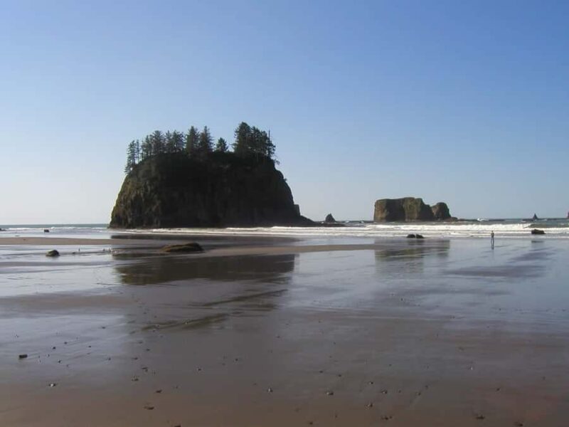 From Portland: Oregon Coast Scenic Day Tour - Explore Oregon’s Coast in a Day from Portland