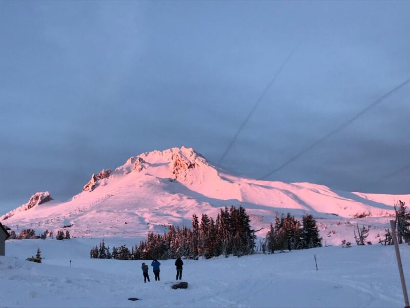 From Portland: Waterfalls, Mt Hood, and Wine Day Tour - The Value and Overall Experience