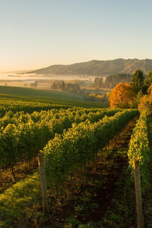 From Portland: Willamette Valley Wine Tasting Tour - Behind-the-Scenes Viticulture Education