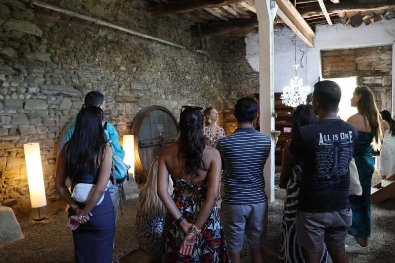 From Porto: 2 Boutique Wineries w/ Winery Lunch & 1-h cruise - Practicalities: Group Size, Transport, and Schedule