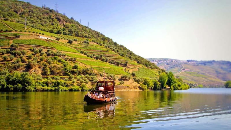 From Porto: 2 Wine Regions, Farm Lunch, and Boat Ride - Explore the Douro Valley in Style with a Full-Day Tour from Porto