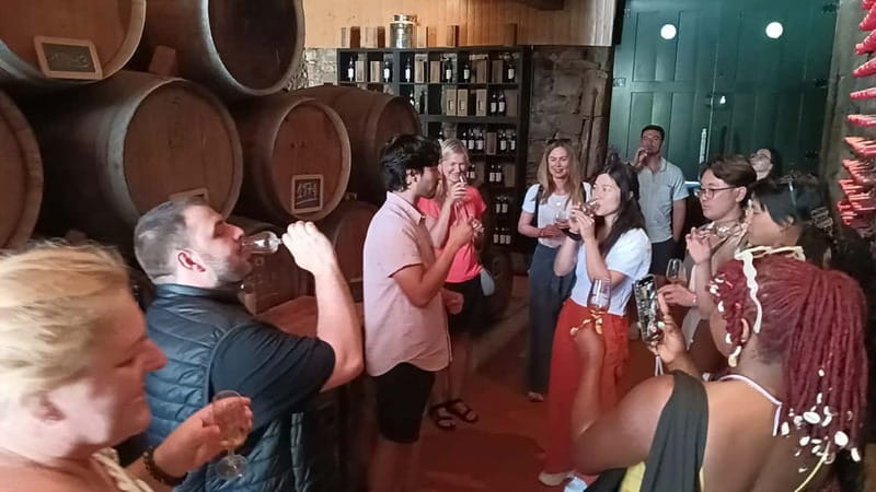 From Porto: 2 Wine Regions, Farm Lunch, and Boat Ride - Scenic River Cruise Along the Douro