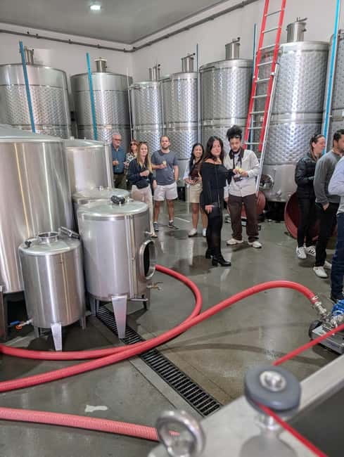 From Porto: 2 Wine Regions, Farm-to-Table Lunch & Boat - Expert Guides and Local Stories