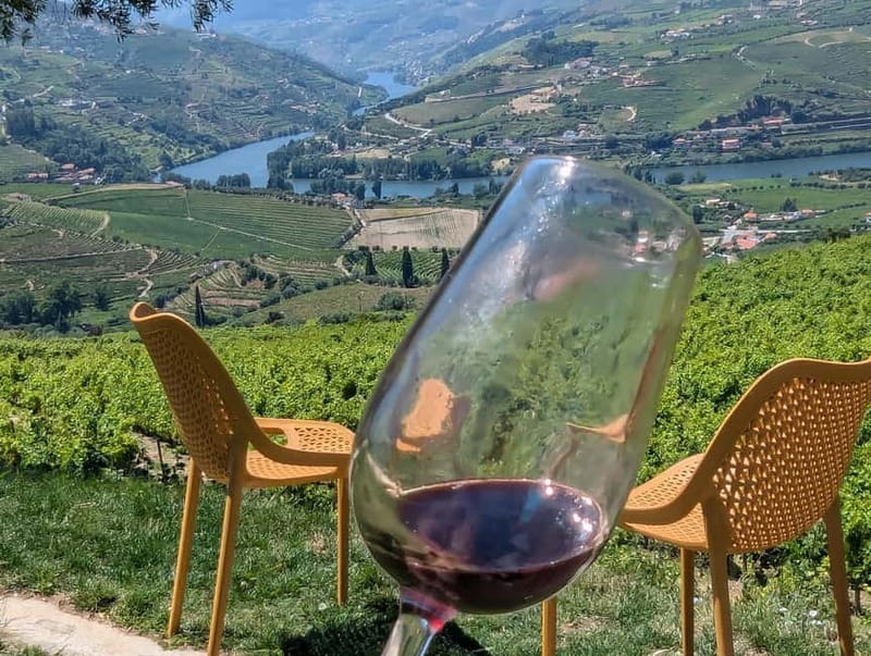 From Porto: 2 Wine Regions, Farm-to-Table Lunch & Boat - Overall Value and Experience