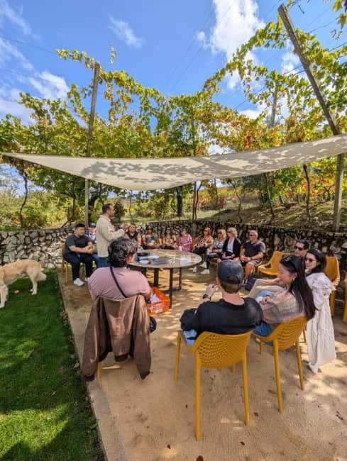 From Porto: 2 Wine Regions, Farm-to-Table Lunch & Boat - Porto Wine Tour: A Winemaking Journey with Scenic Highlights