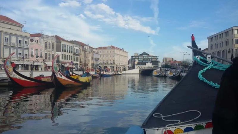 From Porto: Aveiro & Coimbra Tour with Moliceiro Boat Cruise - Key Points